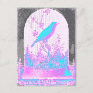 Cartão Postal Pássaro azul turquesa, rosa pálido, roxo, preto