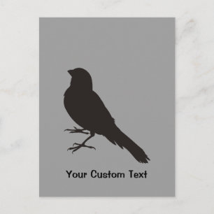 Cartão Postal Pássaro Canário em Pé