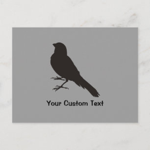 Cartão Postal Pássaro Canário Permanente