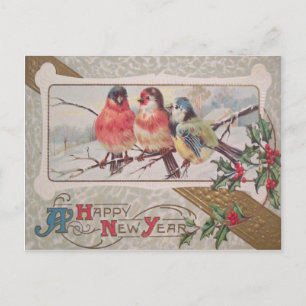 Cartão Postal Pássaro Canoro Holly Snow
