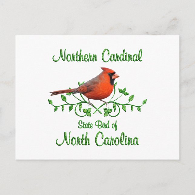 Cartão Postal Pássaro Cardinal da Carolina do Norte (Frente)