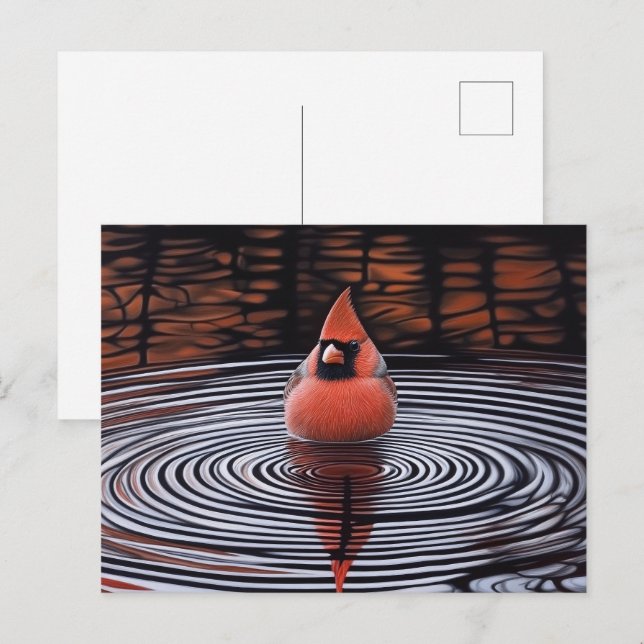 Cartão Postal Pássaro Cardinho Tomando Banho (Frente/Verso)