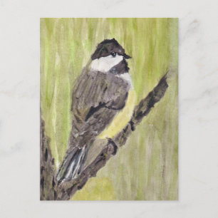 Cartão Postal Pássaro Chickadee de casaco preto - pintura acríli