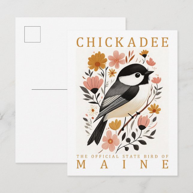 Cartão Postal Pássaro Chickadee do Maine USA Viagem (Frente/Verso)