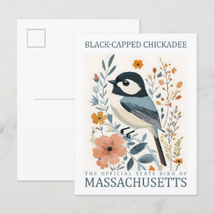 Cartão Postal Pássaro Chickadee Preto Captado de Massachusetts E
