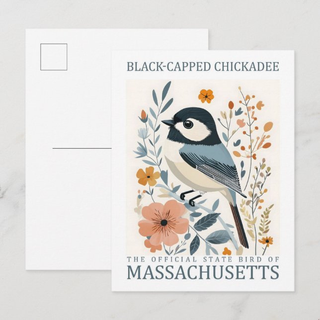 Cartão Postal Pássaro Chickadee Preto Captado de Massachusetts E (Frente/Verso)