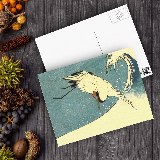Cartão Postal Pássaro Crane Branco Negro Voando sobre a Onda Oce (Flying white crane bird over ocean wave on blue postcard.)