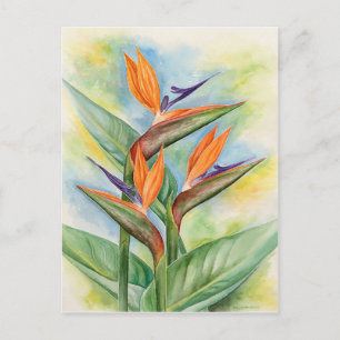Cartão Postal Pássaro Da Arte Flor Do Paraíso - Múltiplo