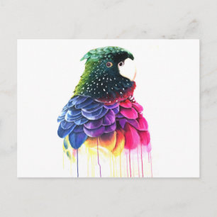 Cartão Postal Pássaro de Abstrato de Óleo