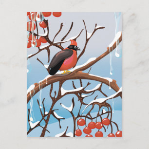 Cartão Postal pássaro de inverno