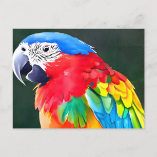 Cartão Postal Pássaro de papagaio colorido