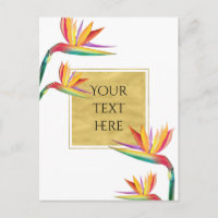 Pássaro do Casamento Branco Dourado Elegante do Pa