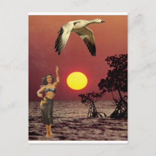 Cartão Postal Pássaro do Paraíso -