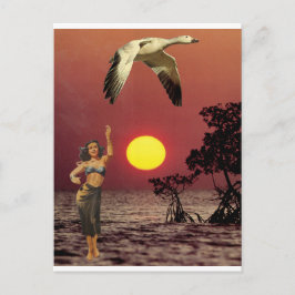 Cartão Postal Pássaro do Paraíso -