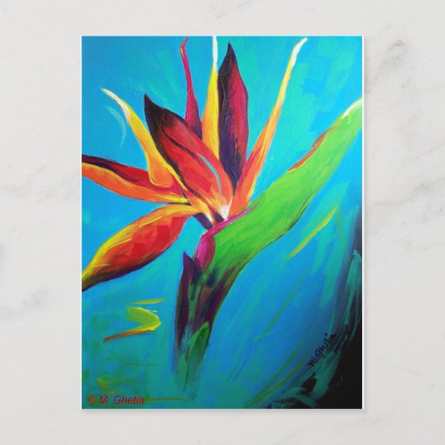 Cartão Postal Pássaro do Paraíso (Frente)