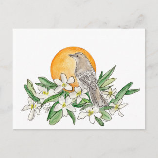Cartão Postal Pássaro e Flor do Estado da Flórida
