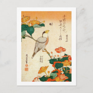 Cartão Postal Pássaro e Maravilha-da-noite, Hokusai