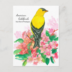 Cartão Postal Pássaro Estadual Amarelo-Americano Goldfinch em W