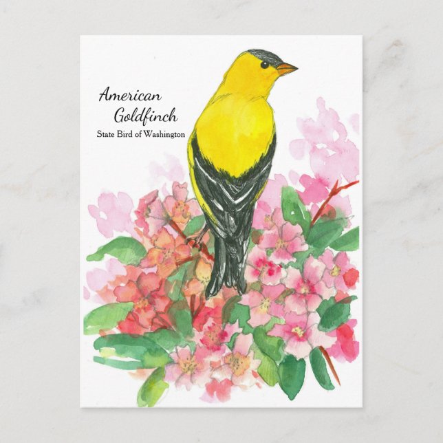 Cartão Postal Pássaro Estadual Amarelo-Americano Goldfinch em Wa (Frente)