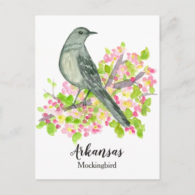 Cartão Postal Pássaro Estadual do Arkansas Mockingbird Flor de M (Frente)