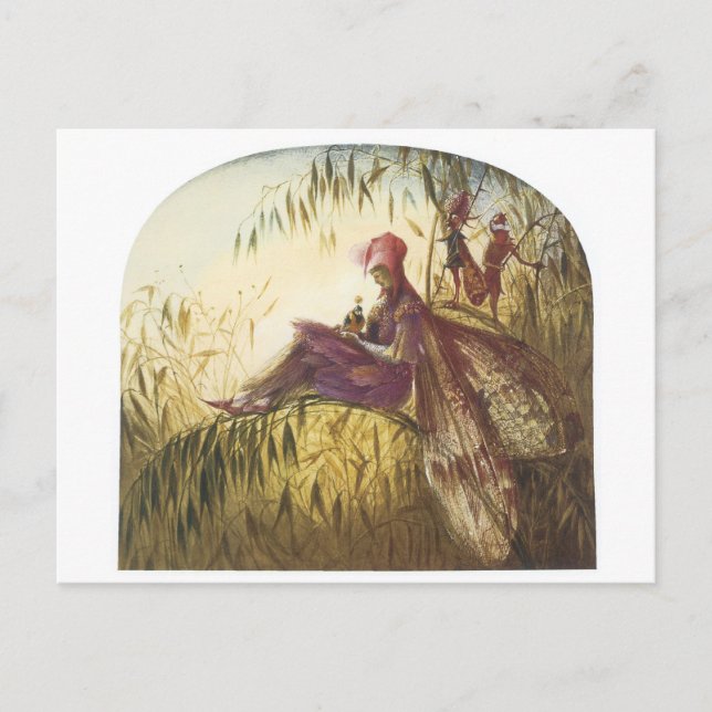 Cartão Postal Pássaro Falconer Fairy (Frente)