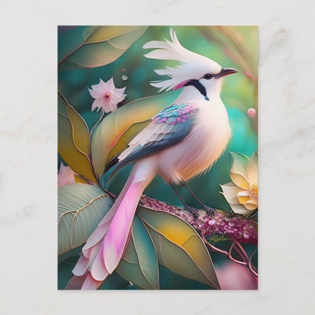 Cartão Postal Pássaro Fantasia Branca - Blush Tail Jay (Frente)