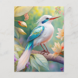 Cartão Postal Pássaro Fantasia Branca, Iridescente, Teal Wing