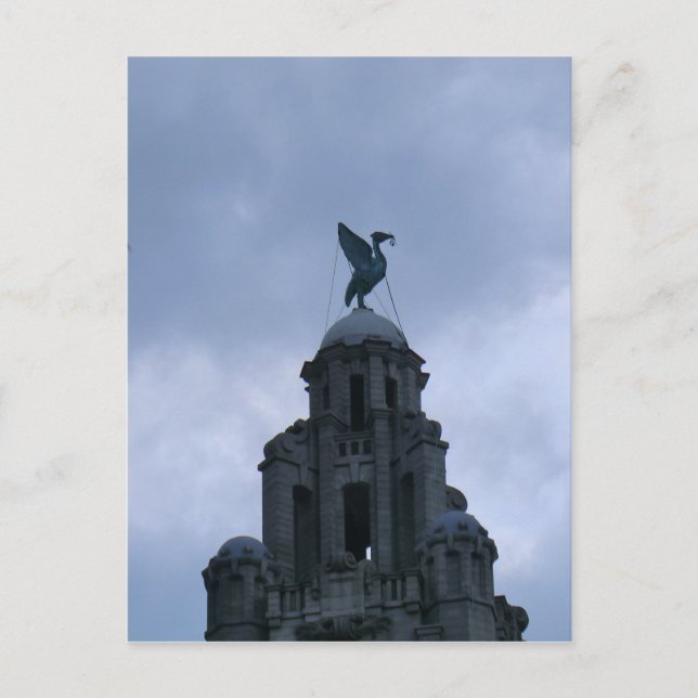 Cartão Postal Pássaro Fígado em Liverpool (Frente)