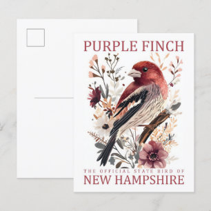Cartão Postal Pássaro fino púrpura de New Hampshire EUA Viagem