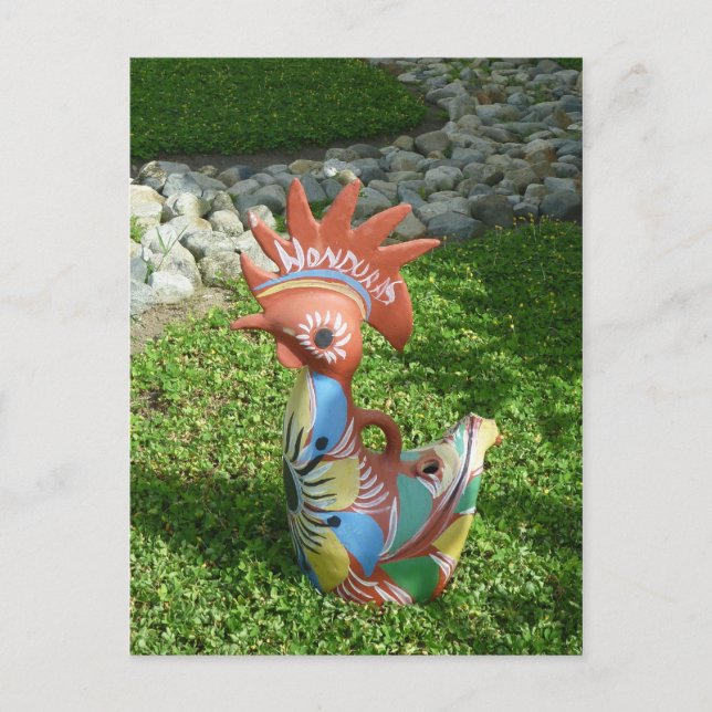 Cartão Postal pássaro hondurino (Frente)