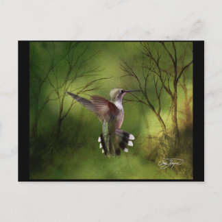 Cartão Postal Pássaro Hummingno Voo