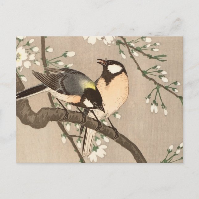 Cartão Postal Pássaro Japonês Asiático Ohara Koson Chapim Pássar (Frente)