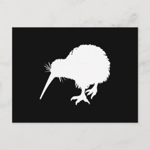 Cartão Postal Pássaro Kiwi