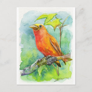Cartão Postal Pássaro Laranja