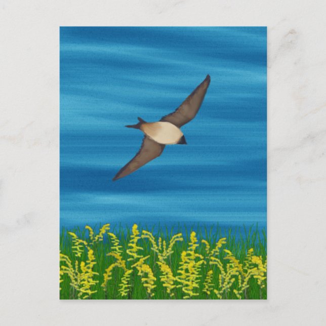 CARTÃO POSTAL PÁSSARO LIVRE (Frente)