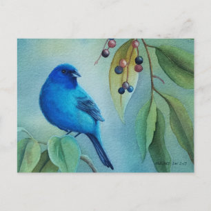 Cartão Postal Pássaro Macho de Azulão Arte em Aquarela de Hackbe