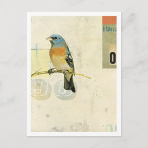 Cartão Postal Pássaro n.o 1