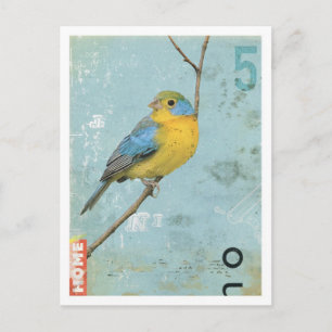 Cartão Postal Pássaro n.o 5