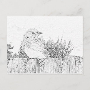 Cartão postal - Pássaro no Cerca para Colorir