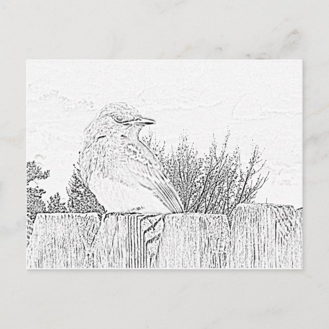 Cartão postal - Pássaro no Cerca para Colorir (Frente)