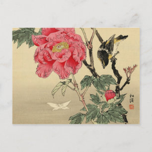 Cartão Postal Pássaro observando uma borboleta