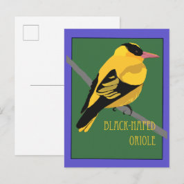 Cartão Postal Pássaro - Oriole-de-pescoço-preto