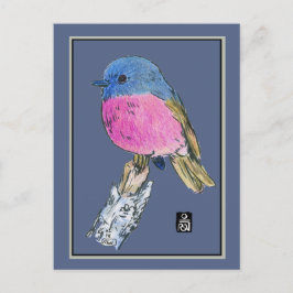 Cartão Postal Pássaro Pequeno Colorido Robin Rosa