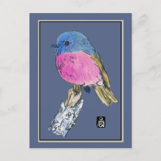 Cartão Postal Pássaro Pequeno Colorido Robin Rosa