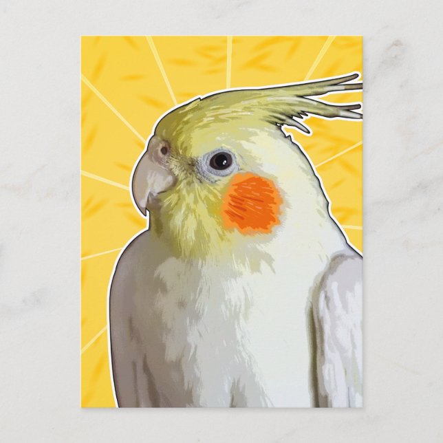 Cartão Postal Pássaro Pet Cockatiel Cheio Limão Amarelo (Frente)