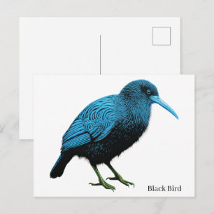 Cartão Postal Pássaro Preto