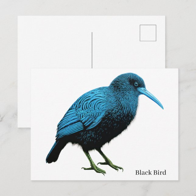 Cartão Postal Pássaro Preto    (Frente/Verso)