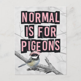 Cartão Postal Pássaro Punk Alternativo Anti Conformidade