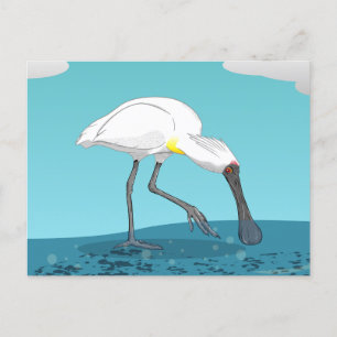 Cartão Postal Pássaro Real NZ do Spoonbill
