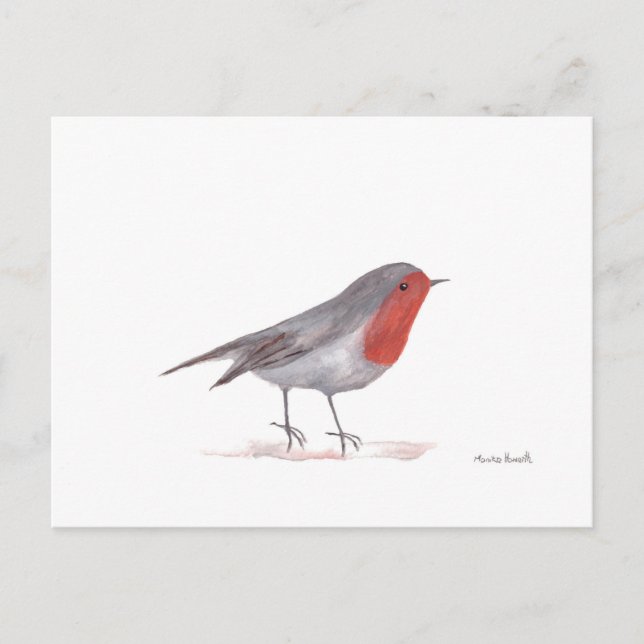 Cartão Postal pássaro Robin (Frente)